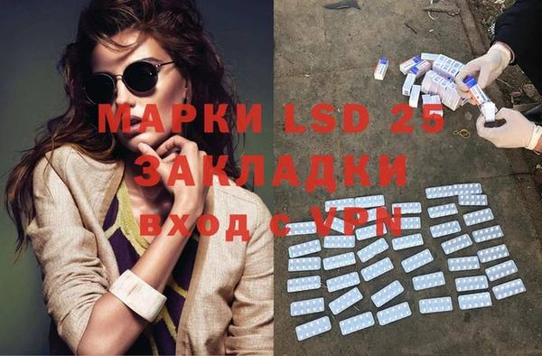 ПСИЛОЦИБИНОВЫЕ ГРИБЫ Алексин