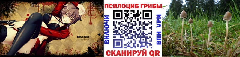 Псилоцибиновые грибы ЛСД  Купить где  Глазов 