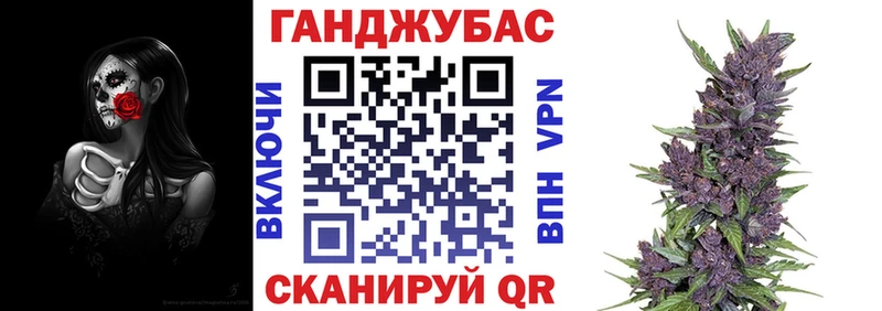 Канабис сатива Купить где Глазов
